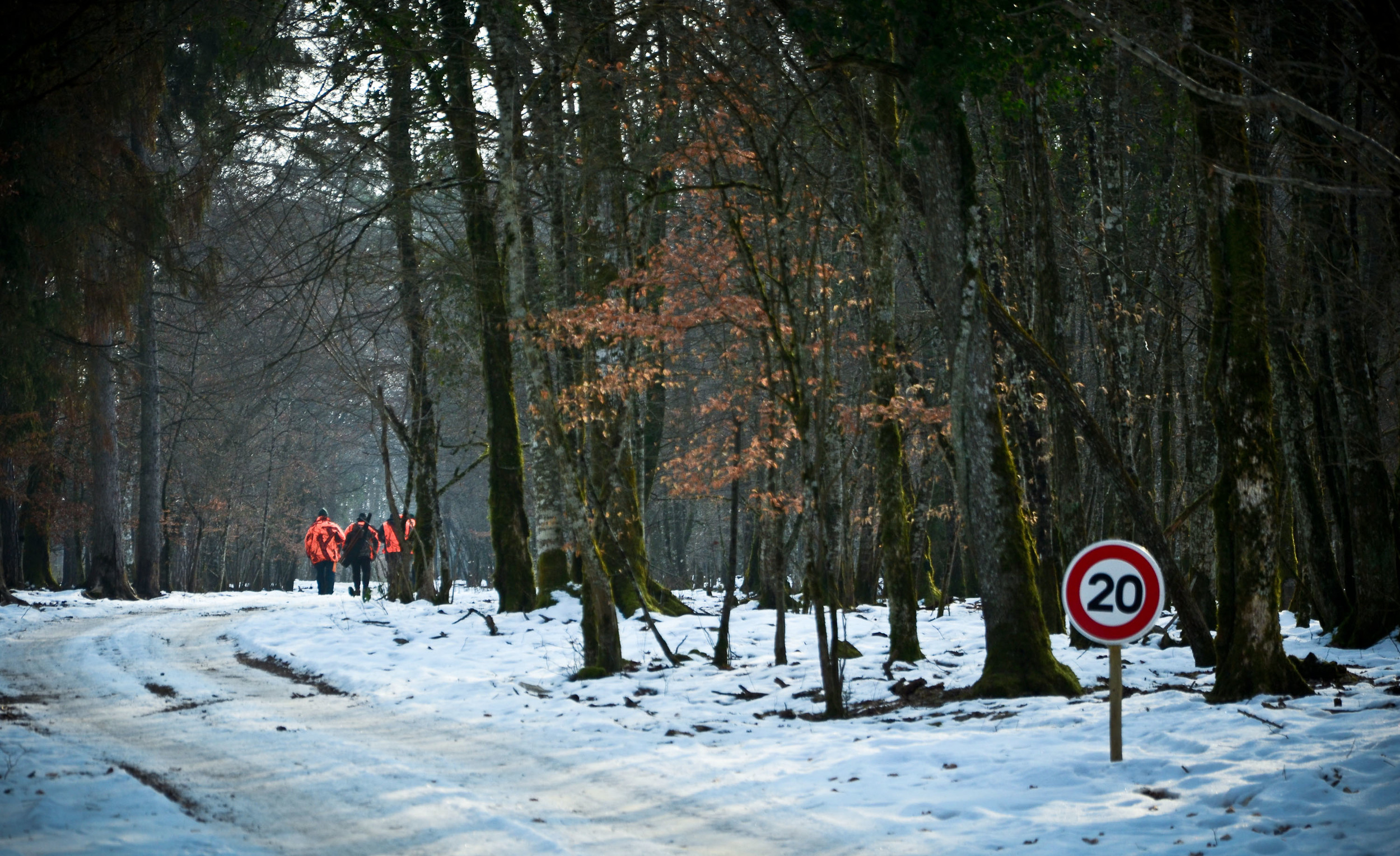 Hungry_Cyclist_Boar-6.jpg