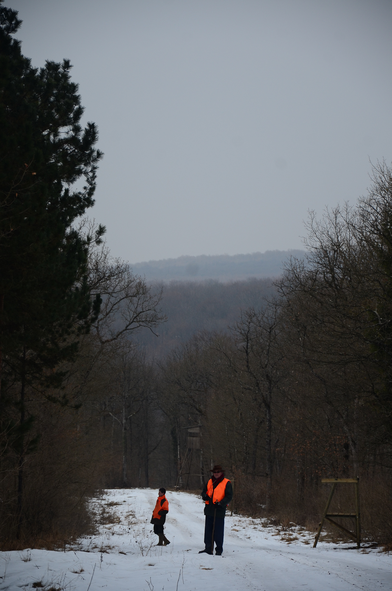 Hungry_Cyclist_Boar-27.jpg