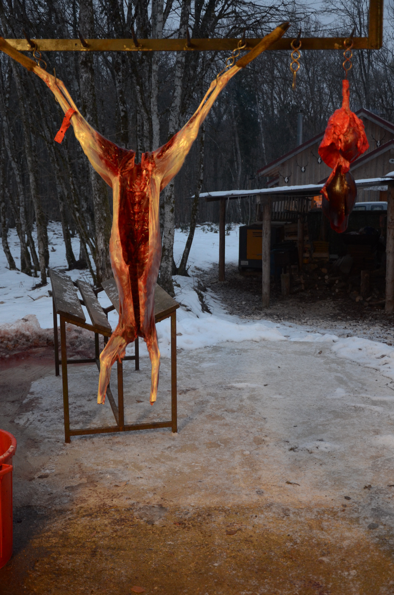 Hungry_Cyclist_Boar-44.jpg