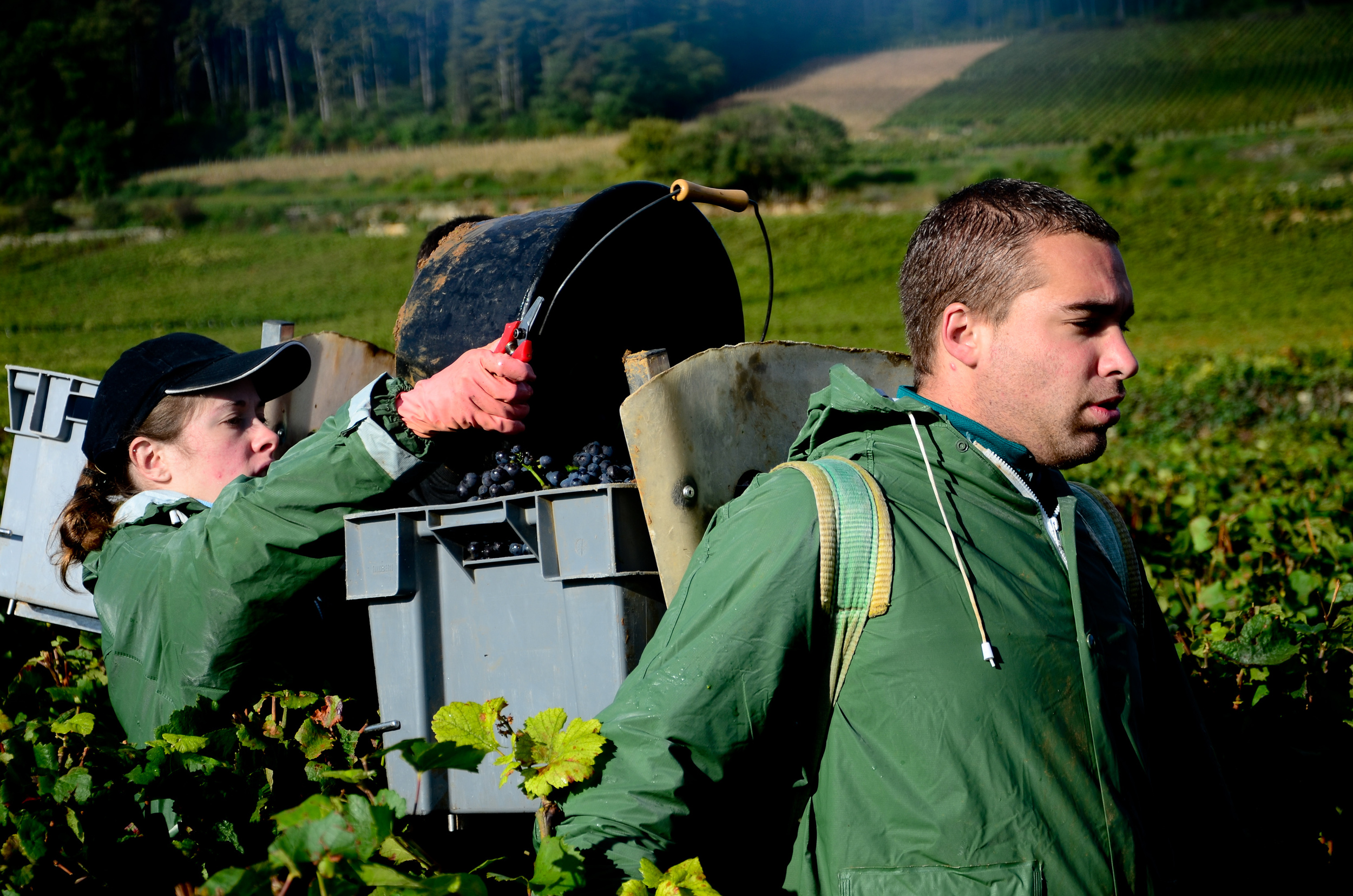 Hungry_Cyclist_Burgundy_Harvest12-104.jpg