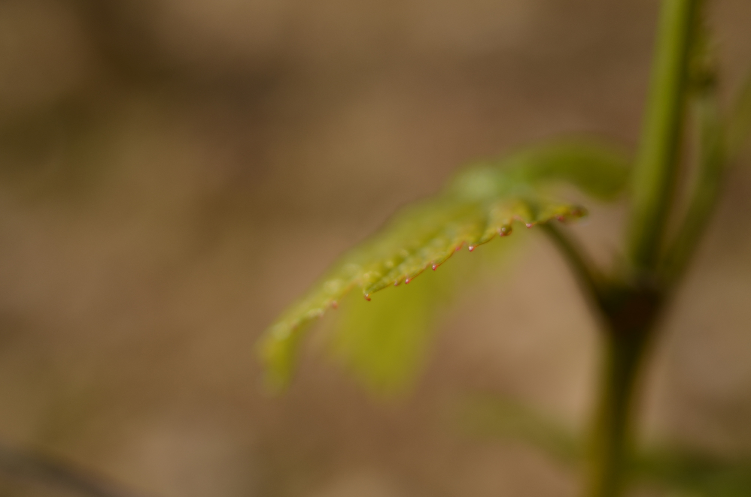 hungrycyclist_april2014-2.jpg