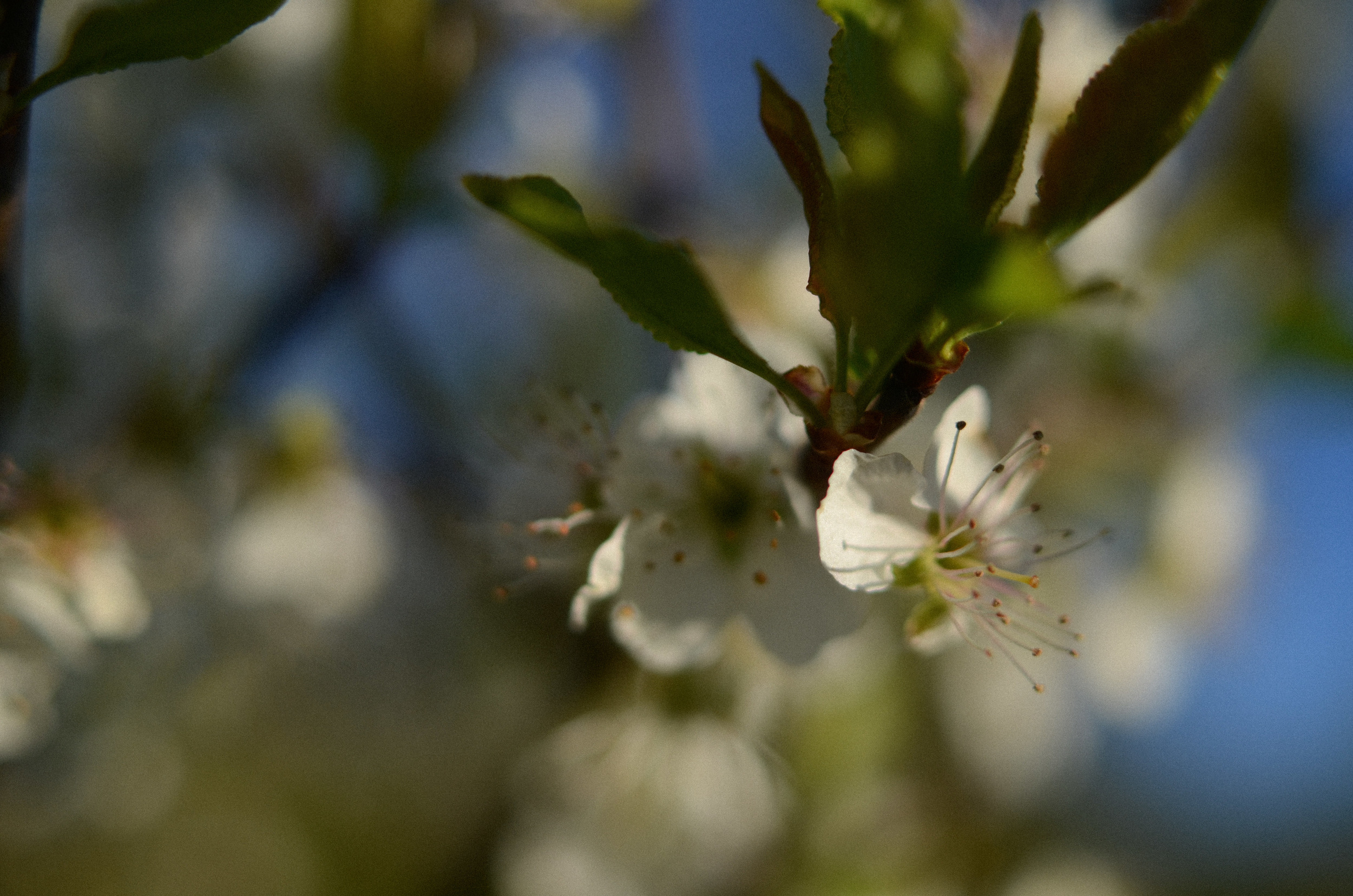 hungrycyclist_spring2014 (21 of 26).jpg