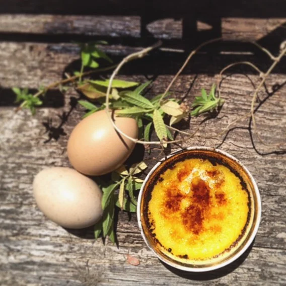 Lemon Verbena Creme Brule for a Summers Evening.