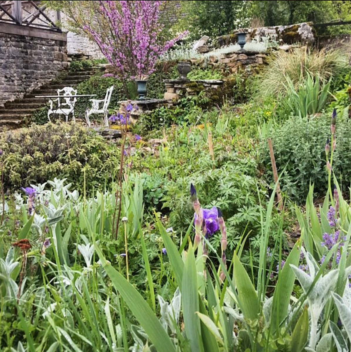 A Garden in Burgundy 2017 — The Hungry Cyclist Lodge