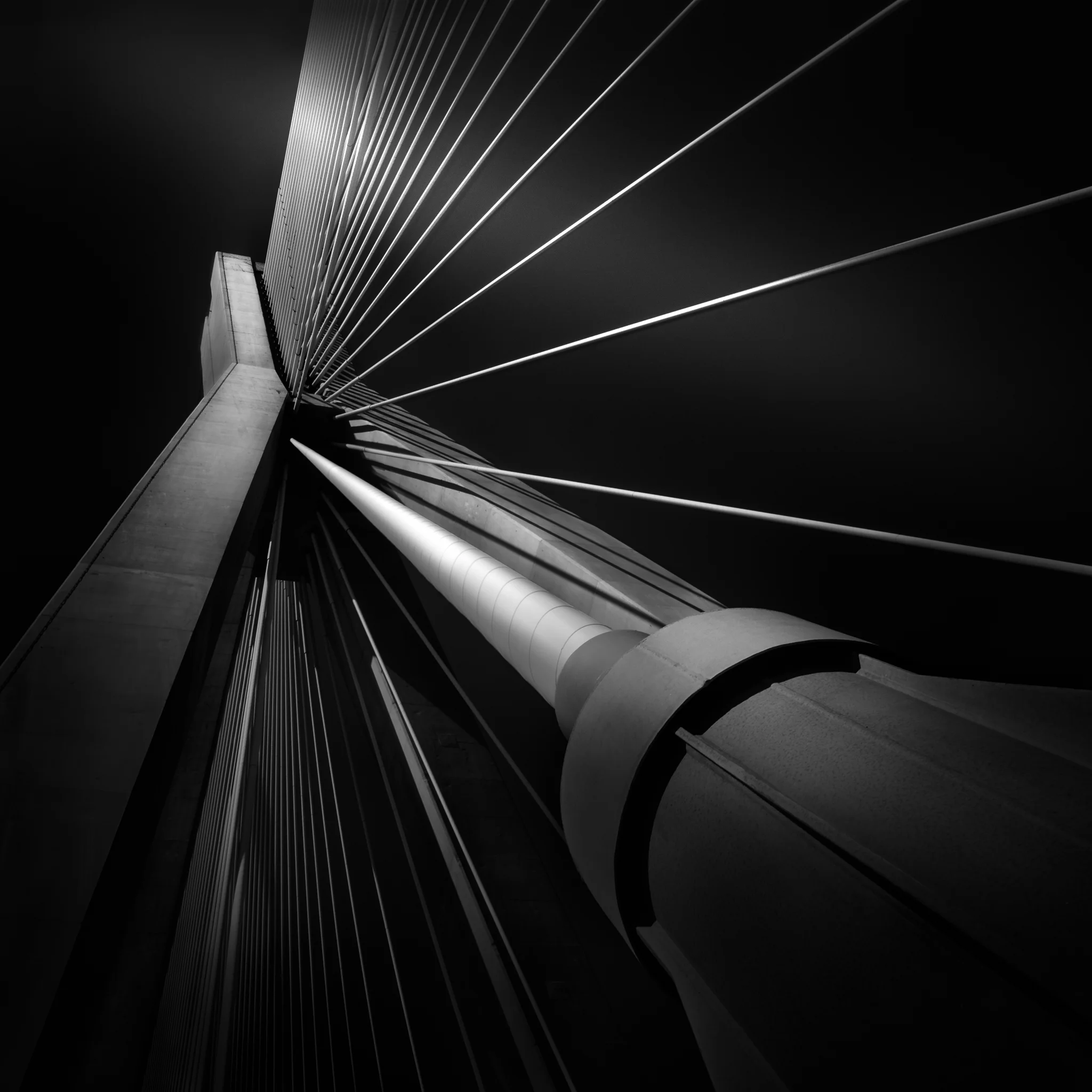 Julia Anna Gospodarou_03-Exuberance of Strings.jpg