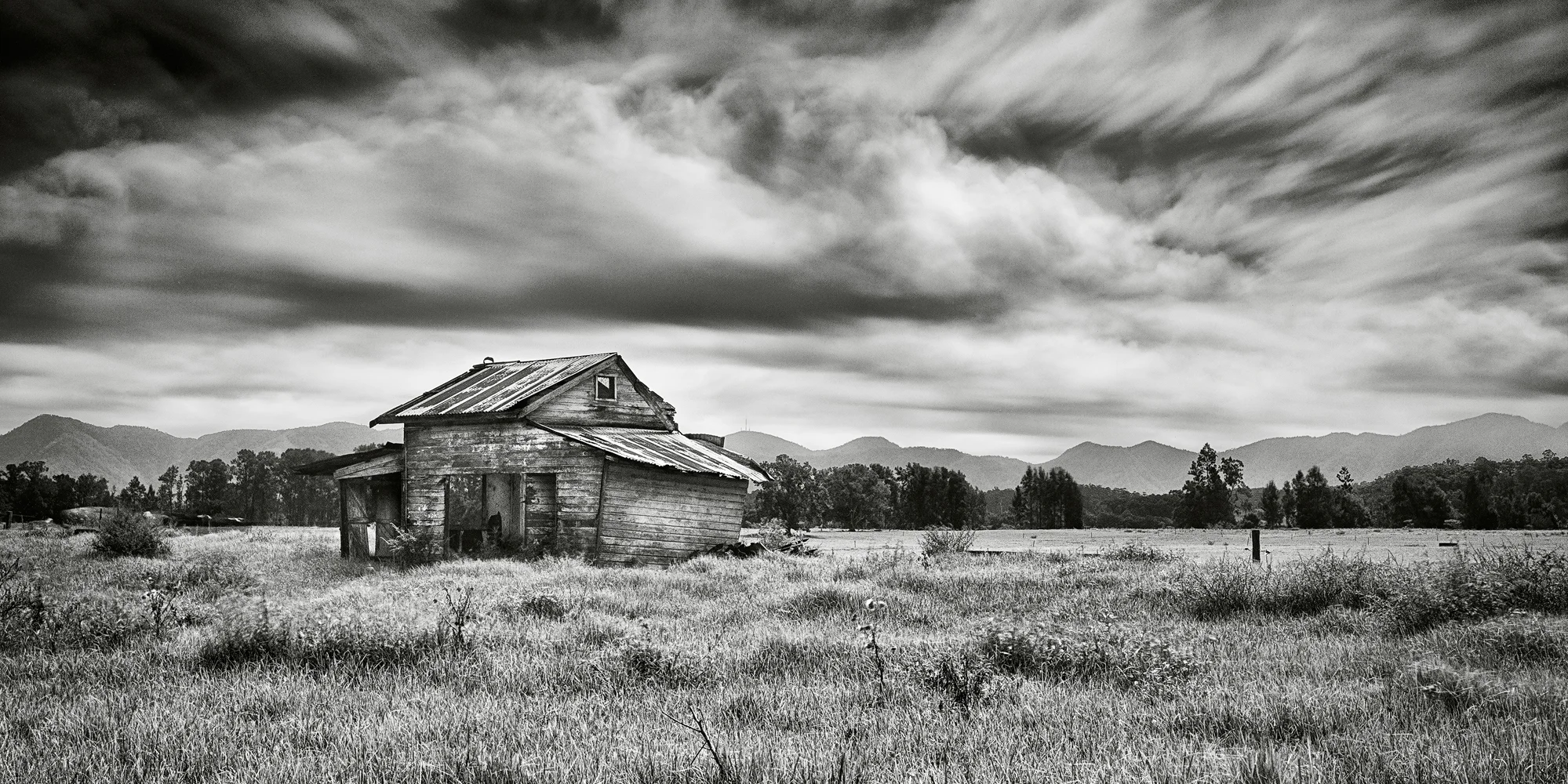 dead_shed.jpg