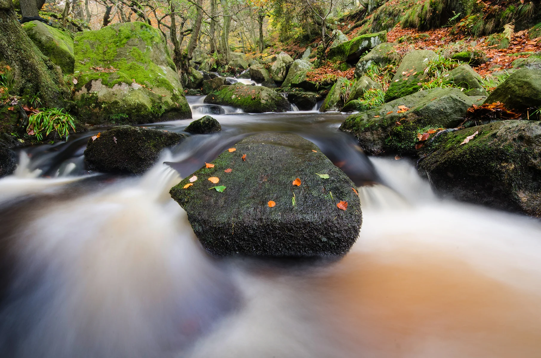 Padley Gorge, Peak District National, UK.jpg