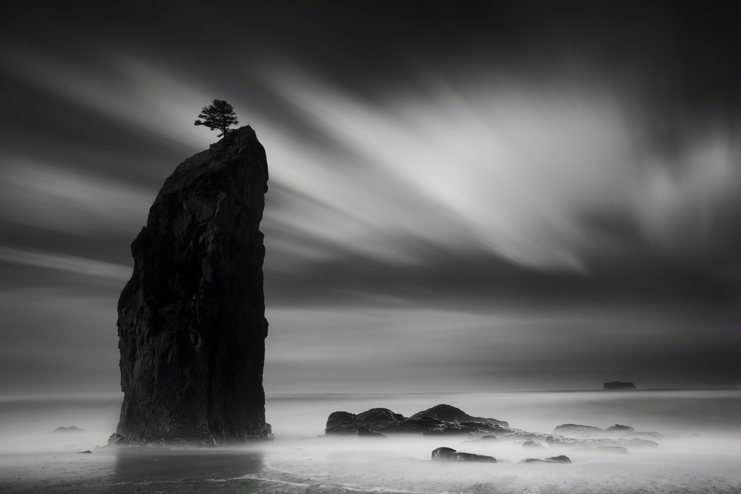 20121015_Pacifico_052146_DM.jpg