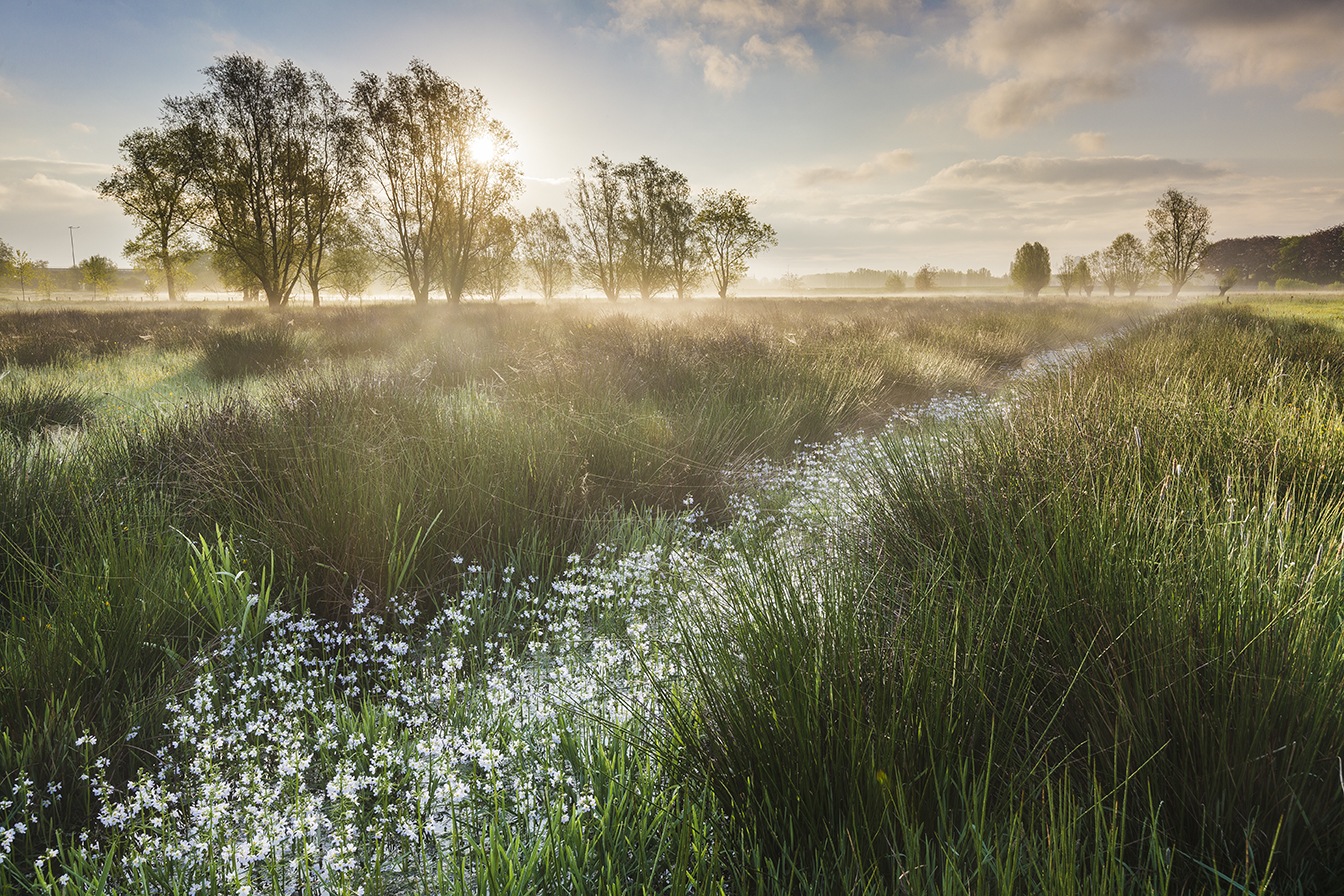 © Bart Heirweg