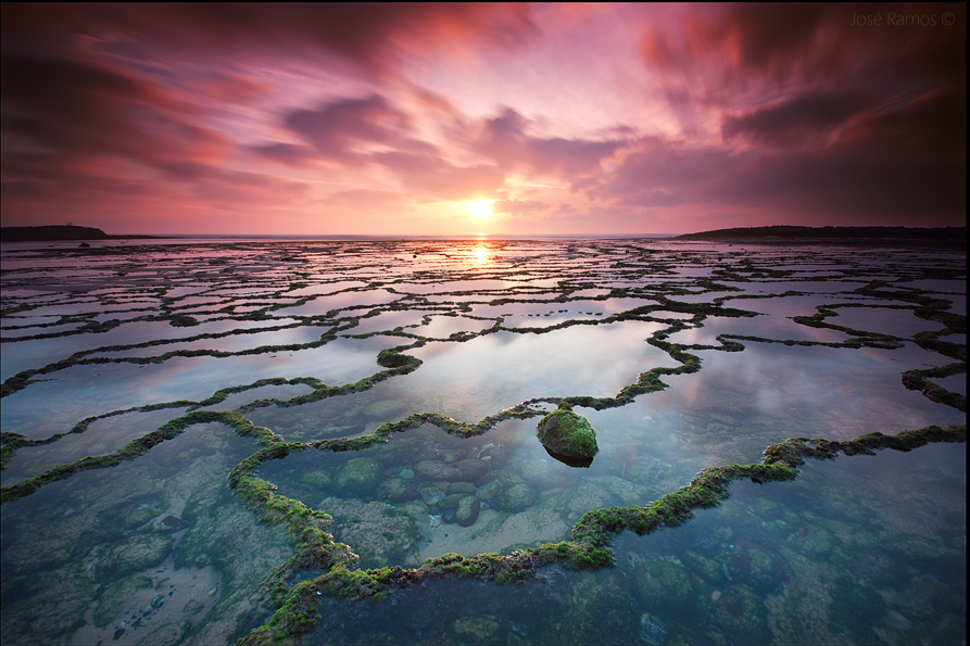 © Jose Ramos