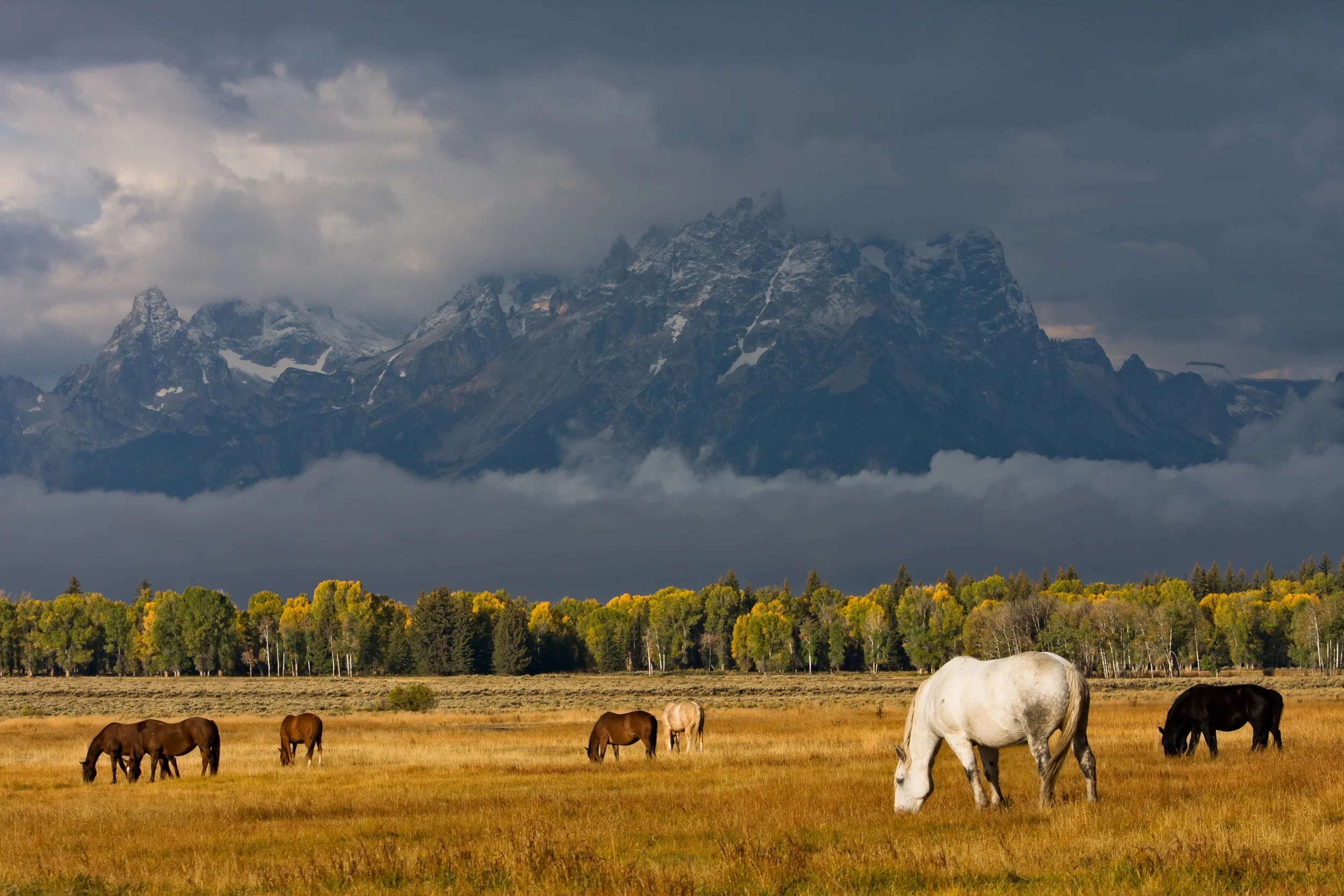 20080921_JacksonHole_4709-Edit-1.jpg