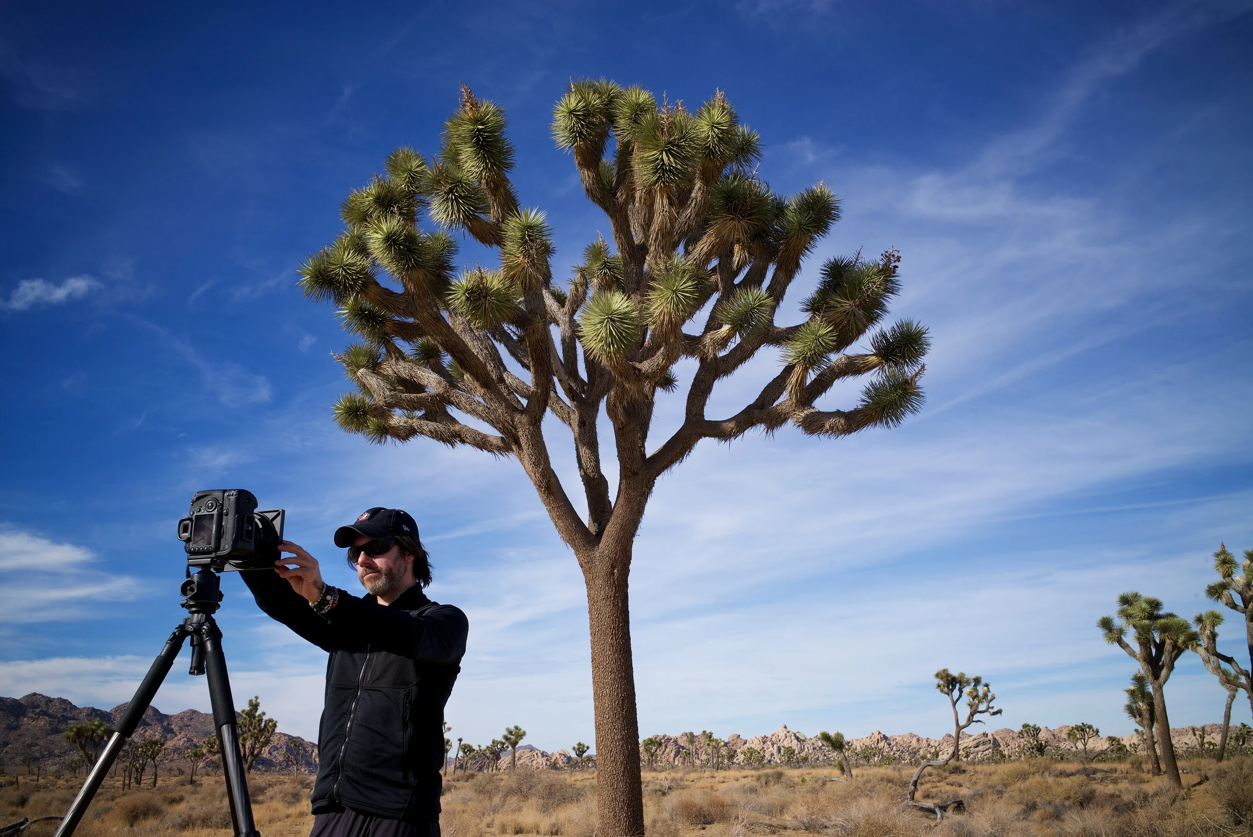 Signature Edition artist Ken Kaminesky in Joshua Tree ©Rod Clark