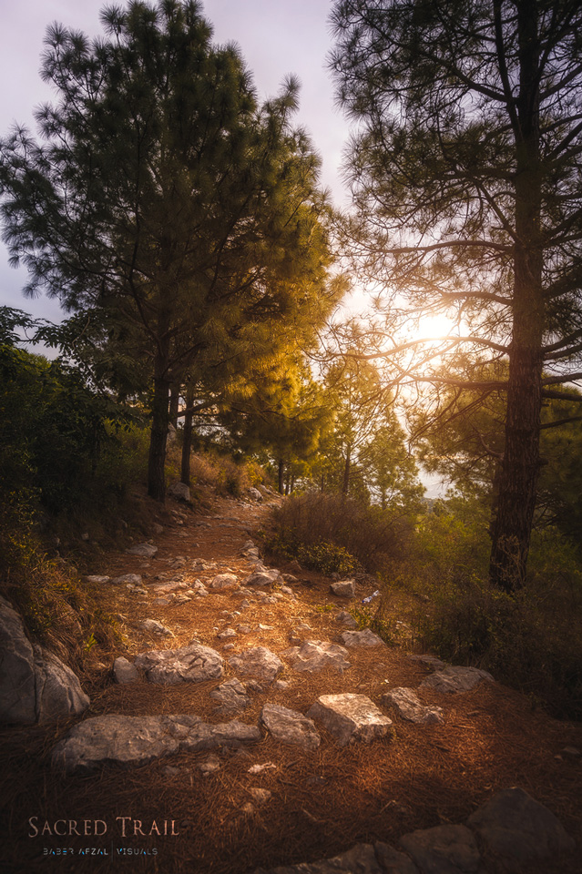 Sacred_Trail.jpg