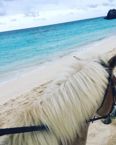 Checked off a bucket list item of riding a horse to the beach.