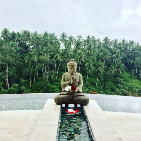 THE VIEW FROM THE SPA AT VICEROY BALI.