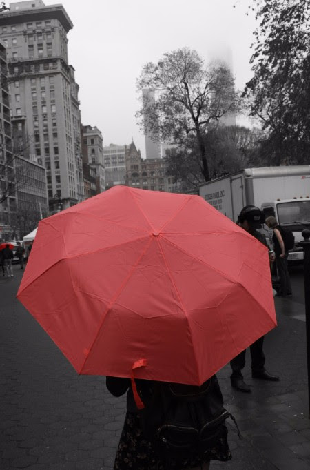 There's always a pop of color on a gray day.
