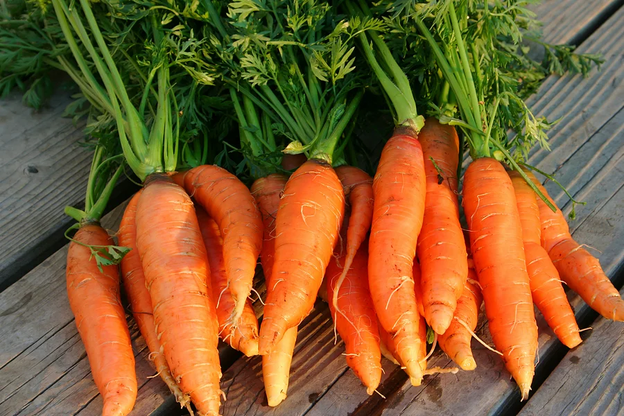 Carrots-Nantes1.jpg