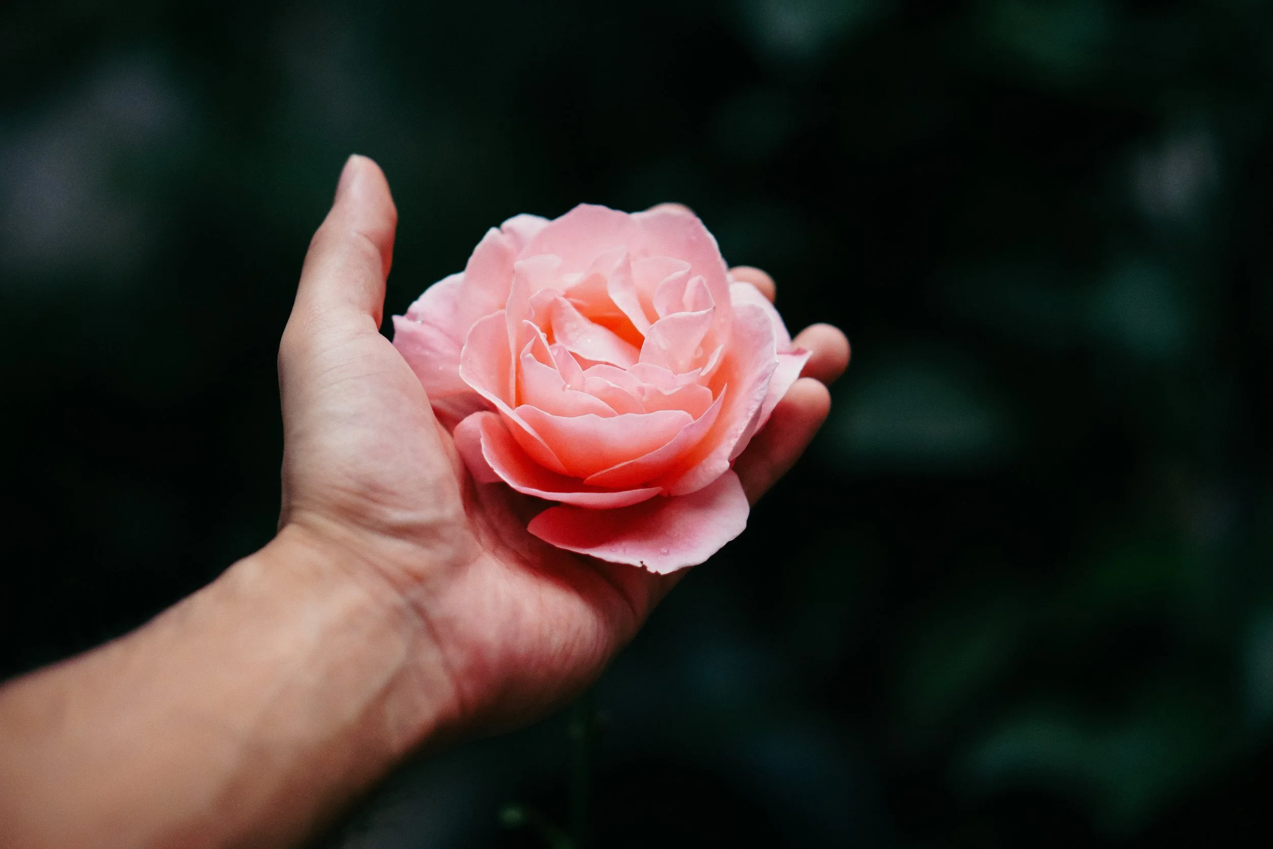 Astrology for Entrepreneurs with Lauren-Miranda