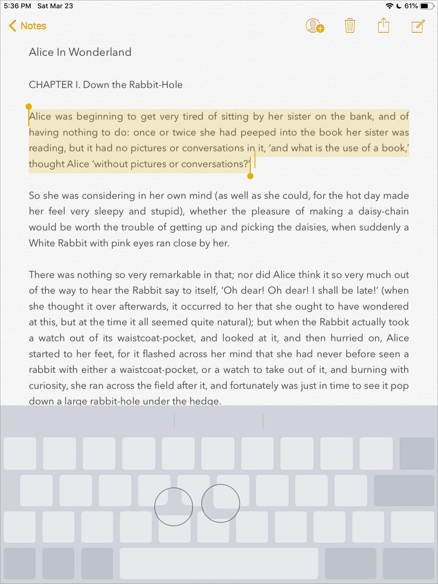 iPad-Trackad-mode.jpg