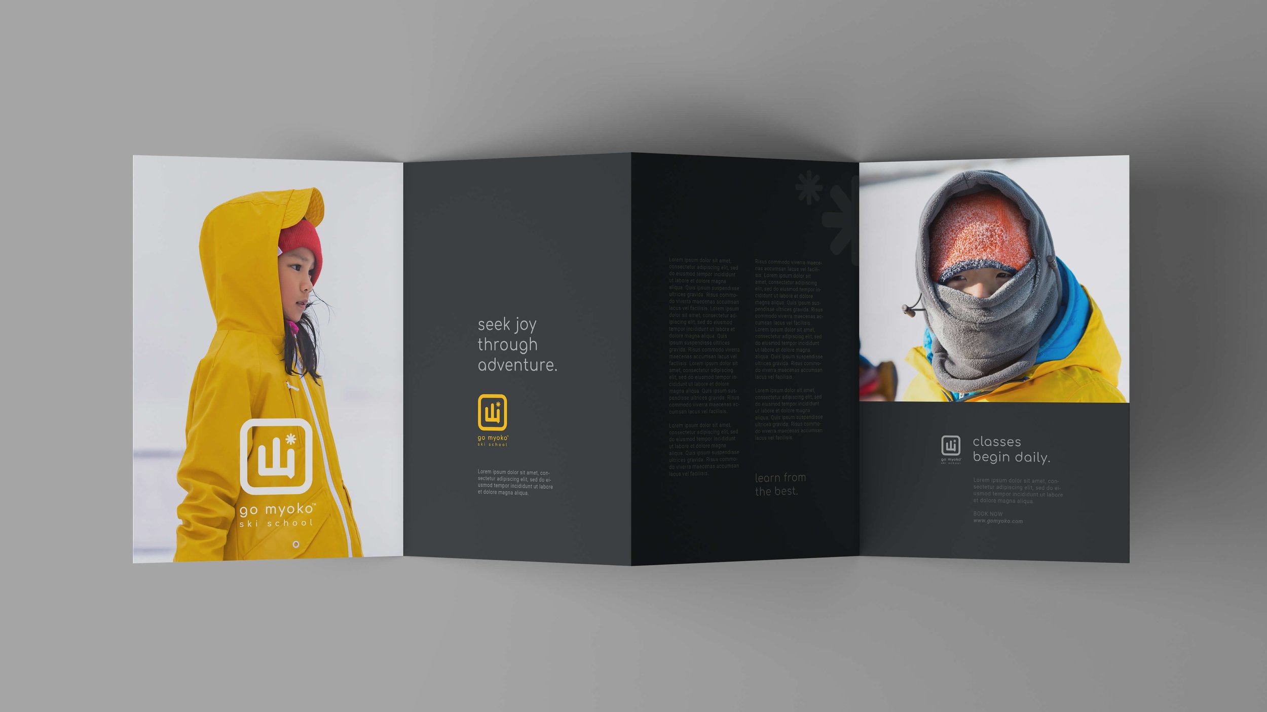 4-Fold-Brochure-Mockup_t.jpg