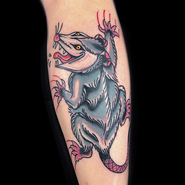 My possum tattoo by Tessia at Atomic Tattoos in Orlando FL   rtattoos