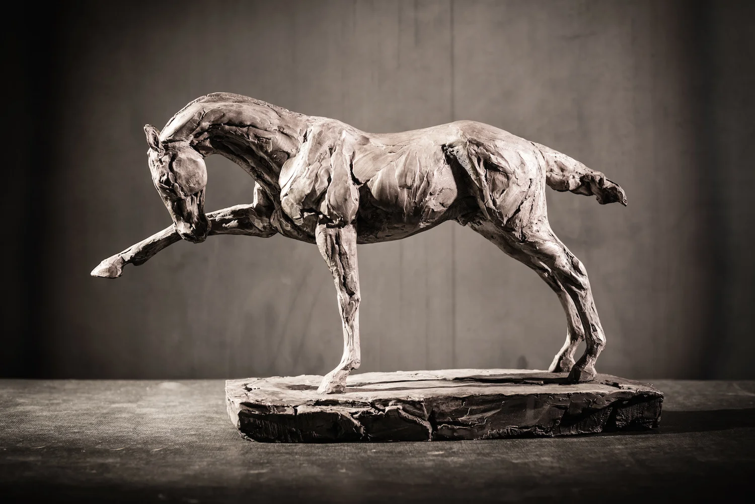 Focus l Bronze l 12x18x5 l $4,000