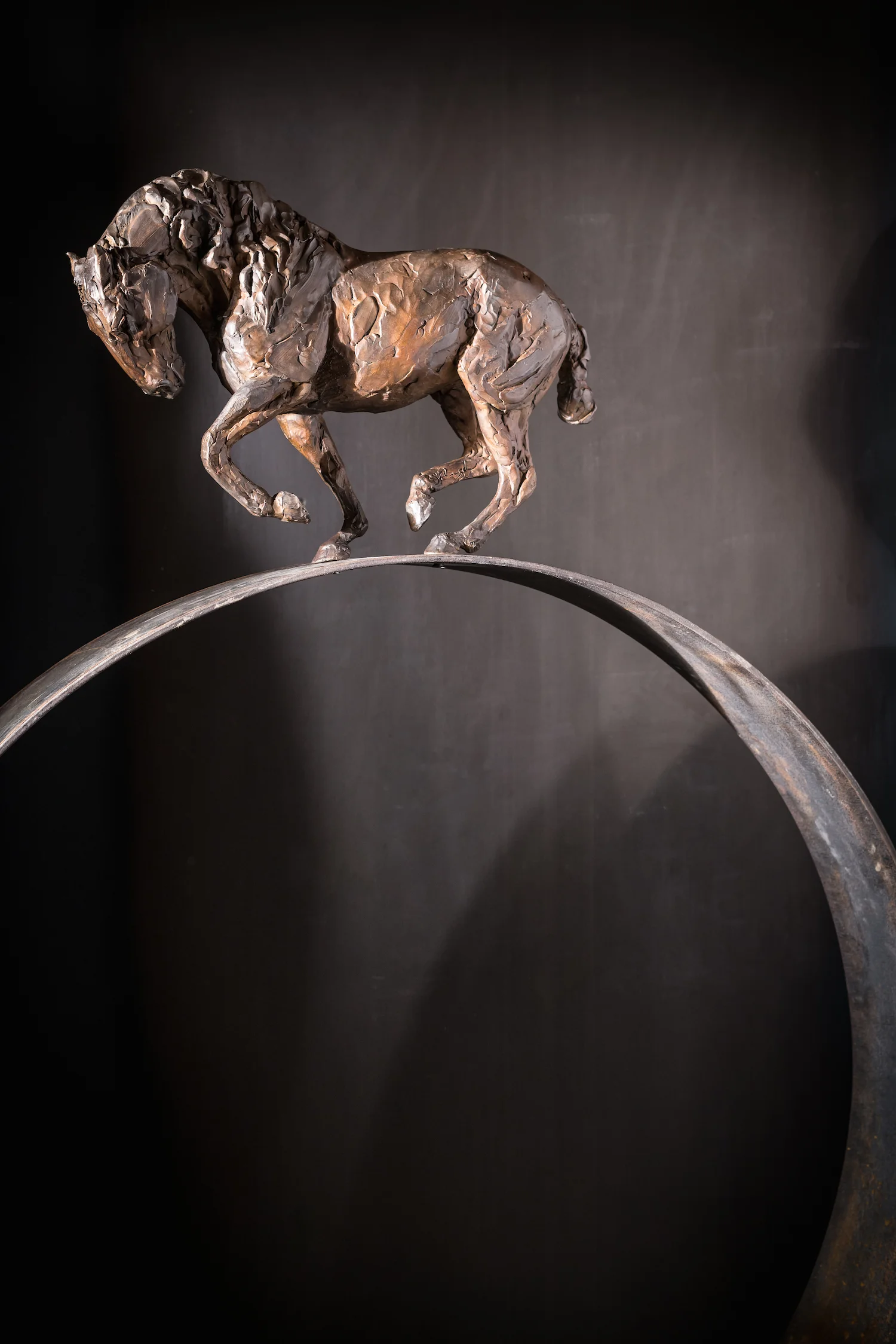 Precarious l Bronze l 56x36x6 l $9,200