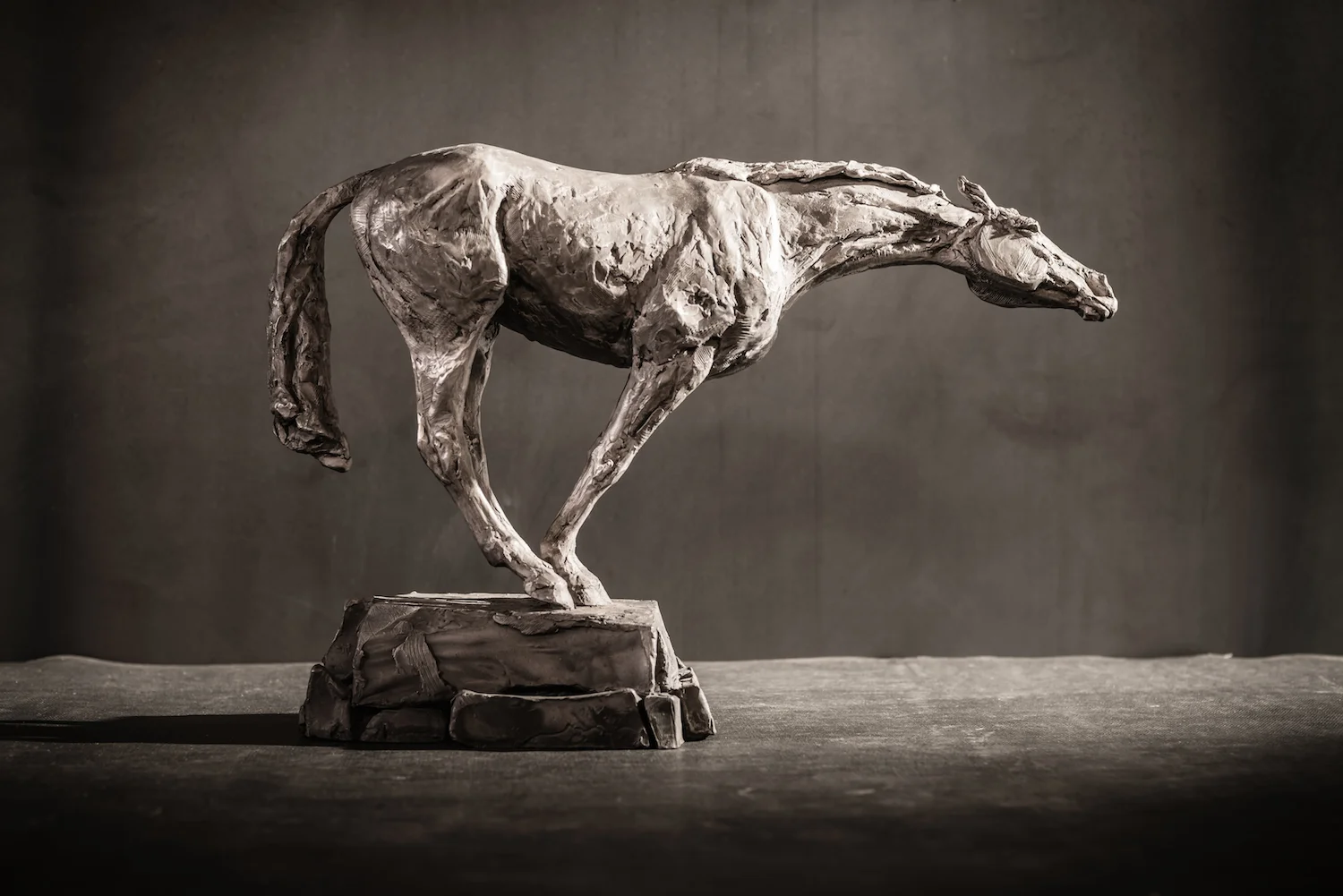 Reach Recklessly l Bronze l 18x12x5 l $4,000
