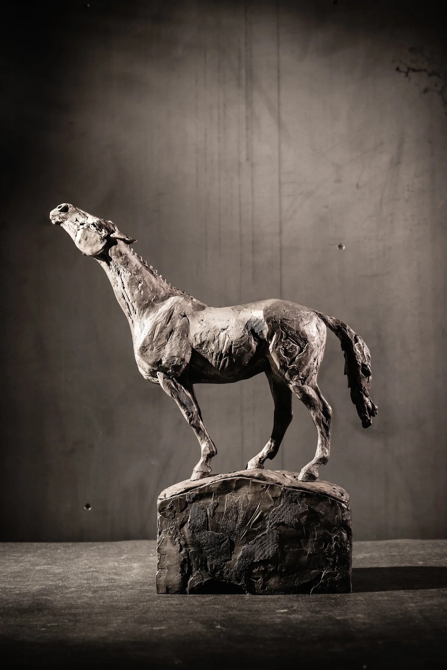 Search l Bronze l 18x12x5 l $4,000
