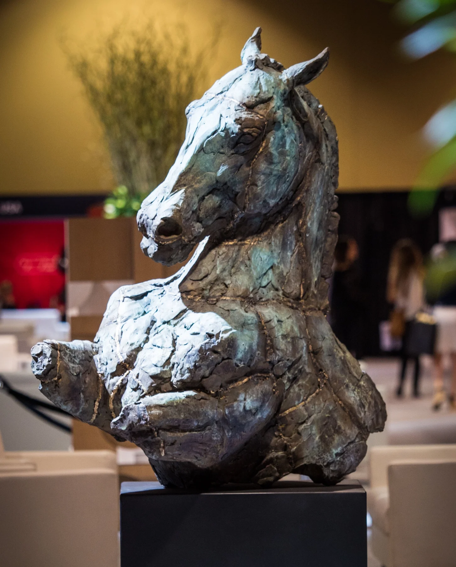 Epeius at Tryon International Equestrian Center