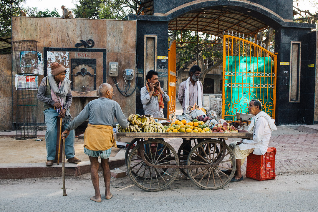 India_2020_TR_4x5-2068.jpg