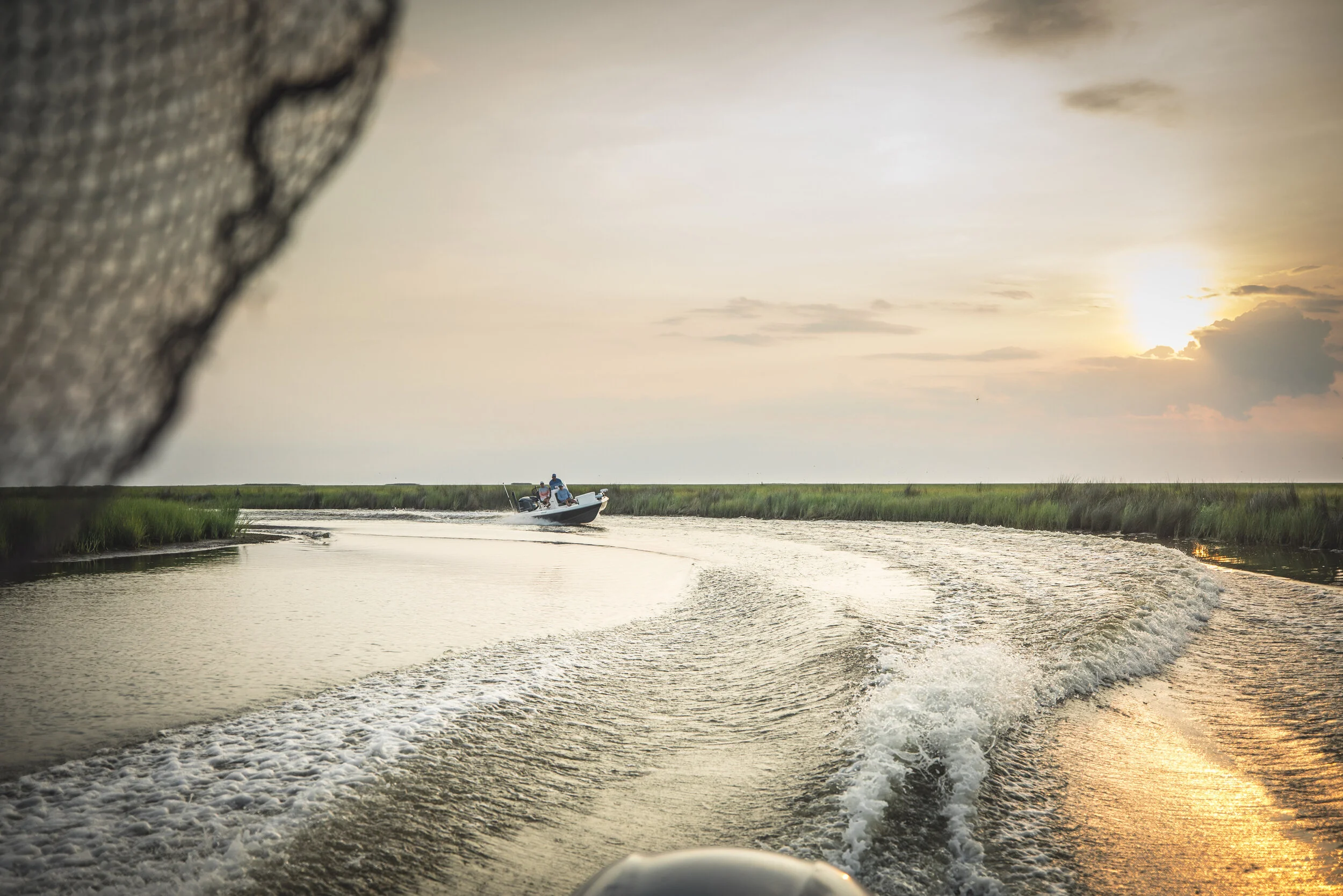 S20_PFG_Louisiana_TR-0708.jpg