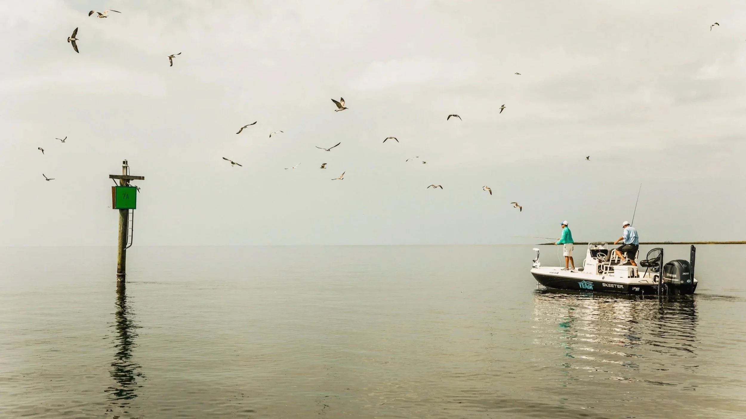 S20_PFG_Louisiana_TR-0382.jpg