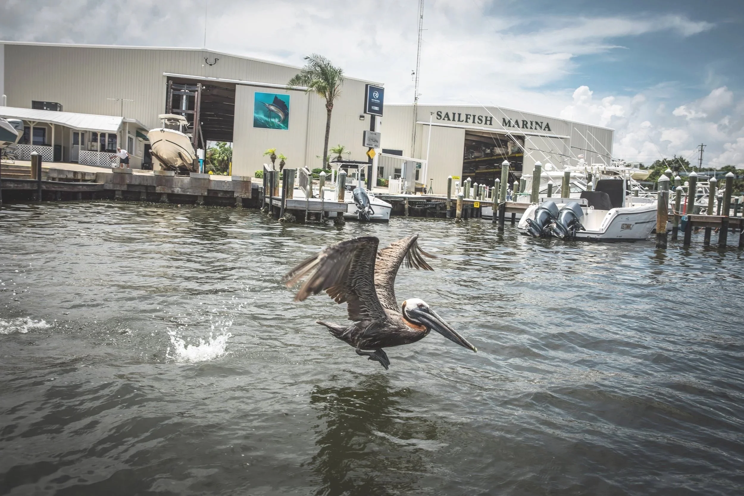 S20_PFG_TR_Florida-9535.jpg