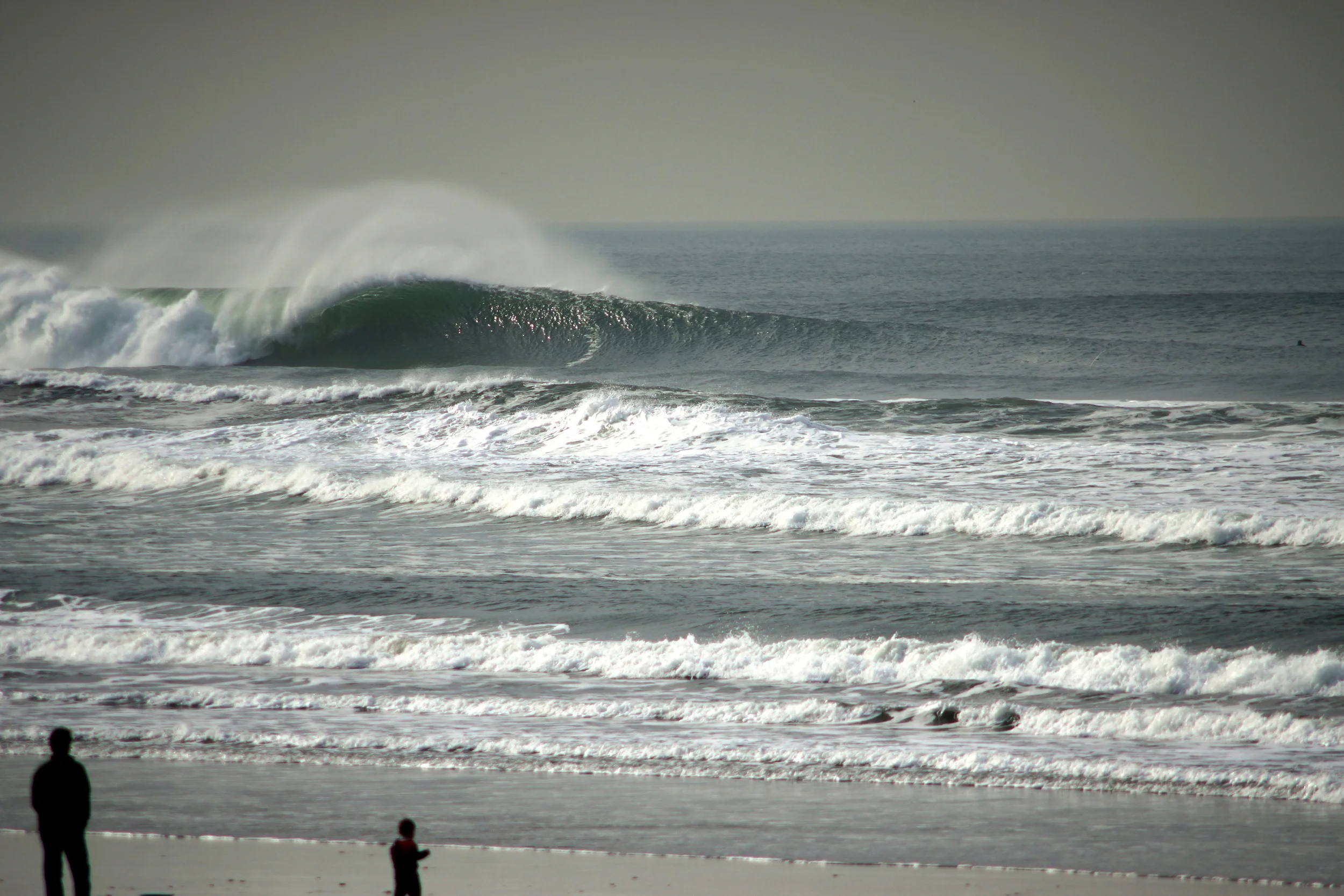 Distractions of Surf Dads