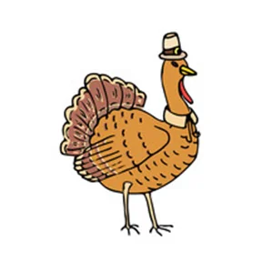 Turkey.JPG