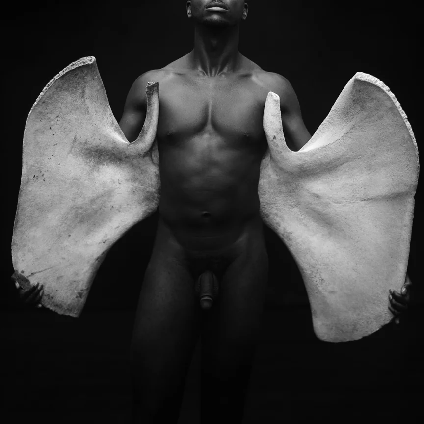 in pieces294squared.jpg