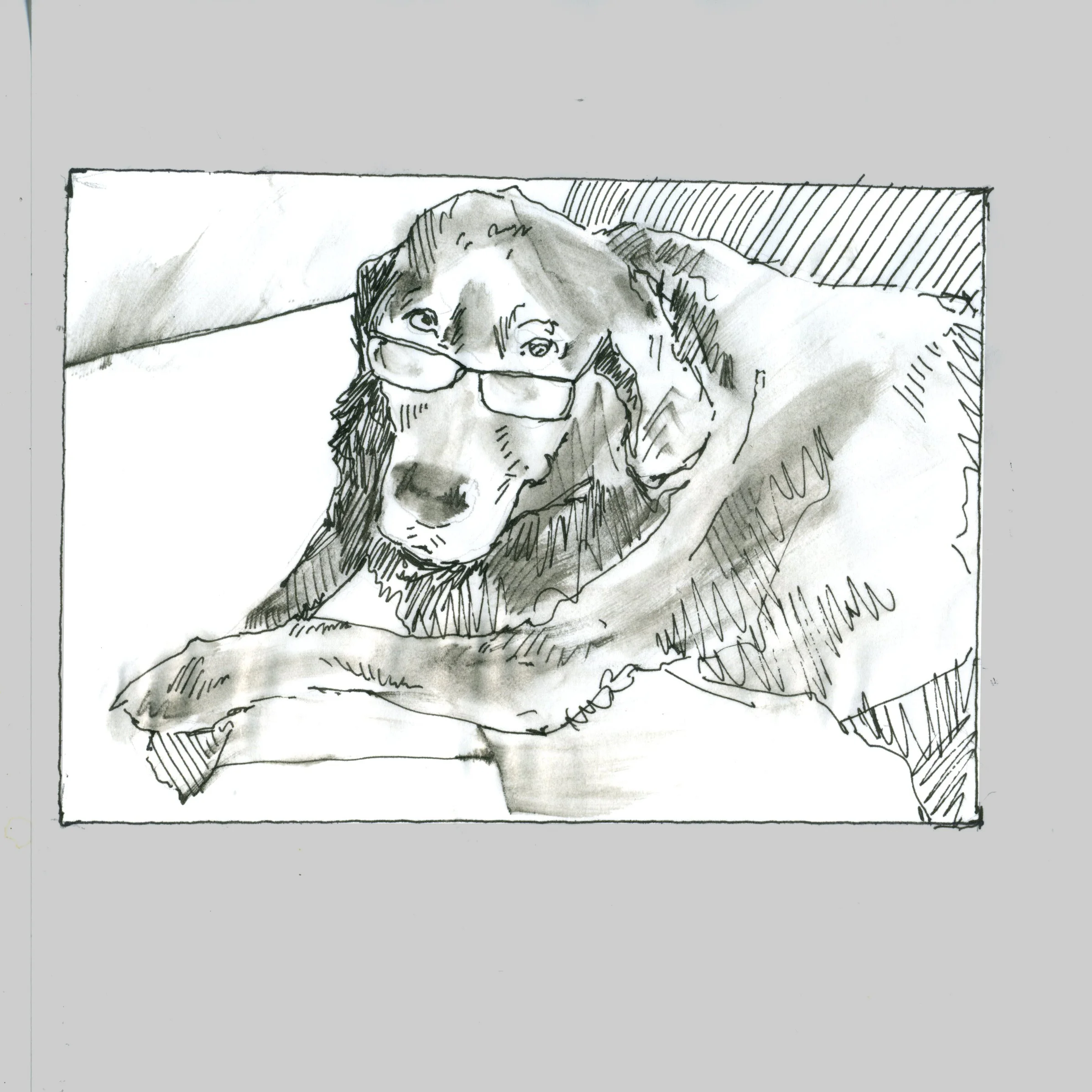 martha.jpg