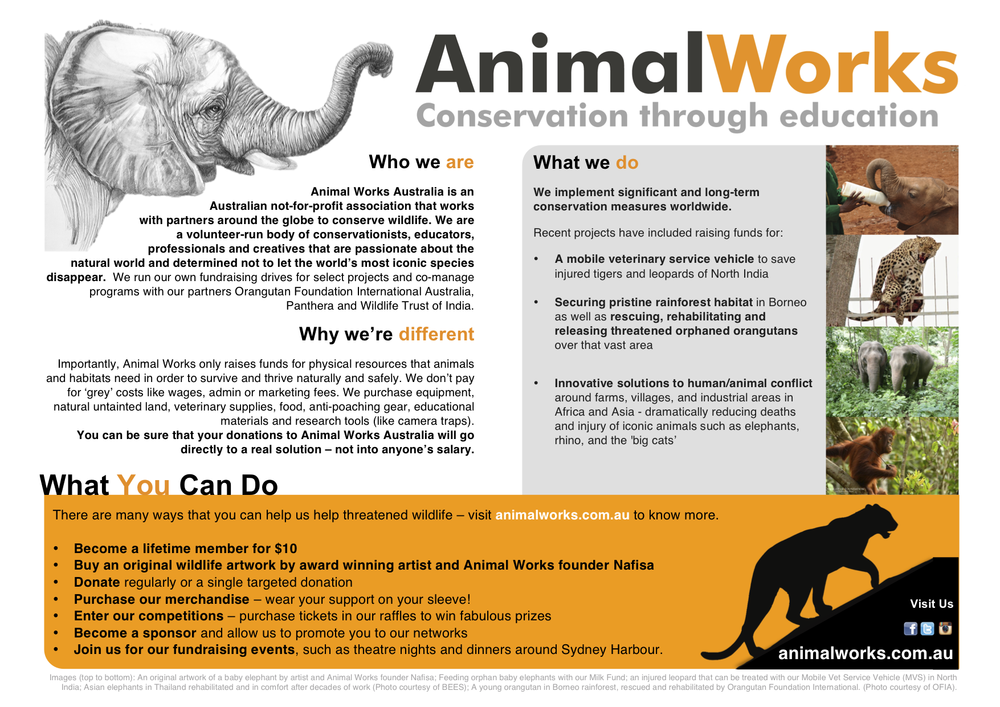 What We Do — Animal Works