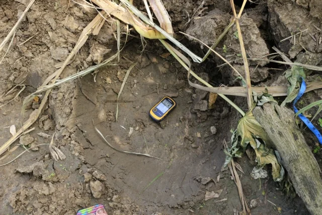 An elephant footprint in a home garden
