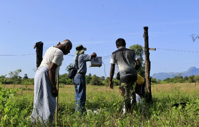  Teaching farmers how to transfer bees into the hives on their fences