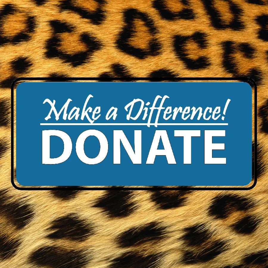 Leopar print DONATE.jpg