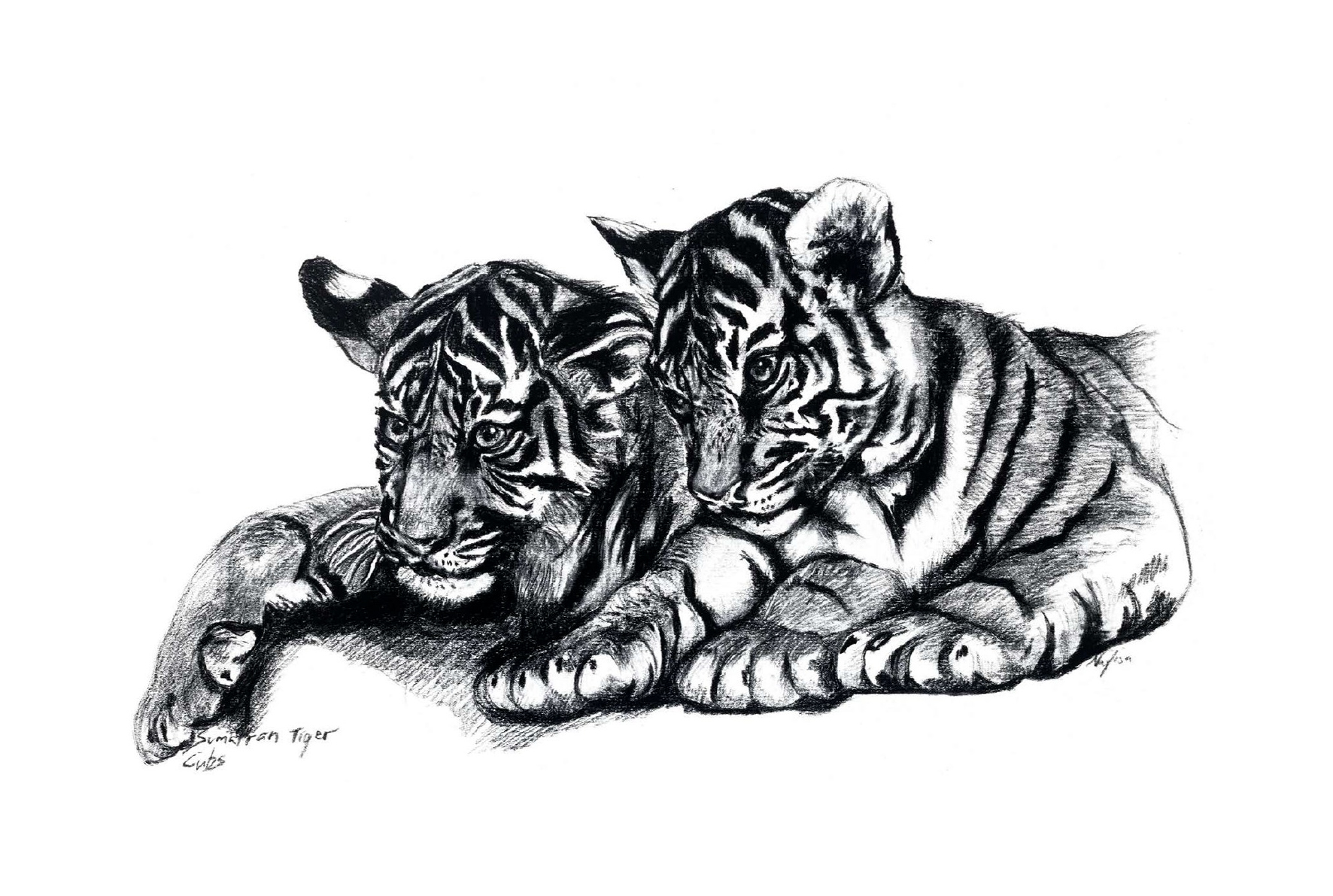Tiger Print 1