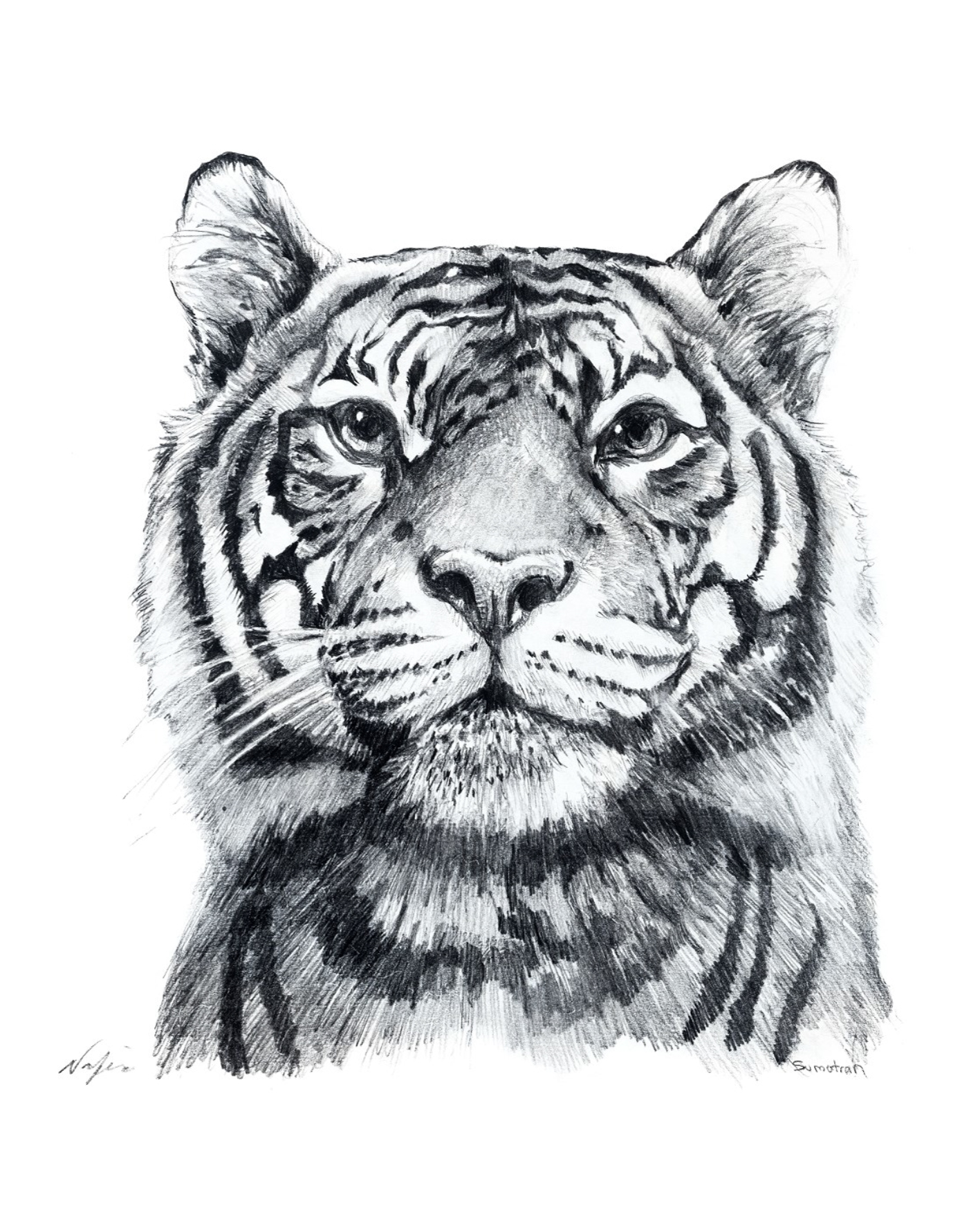 Tiger Print 2