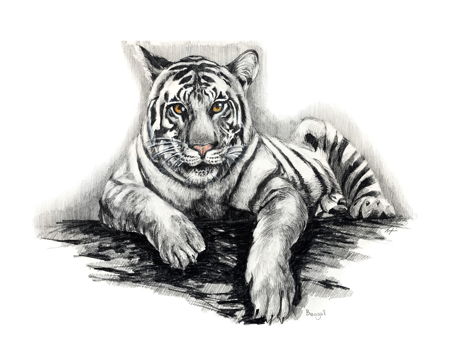 Tiger Print 3