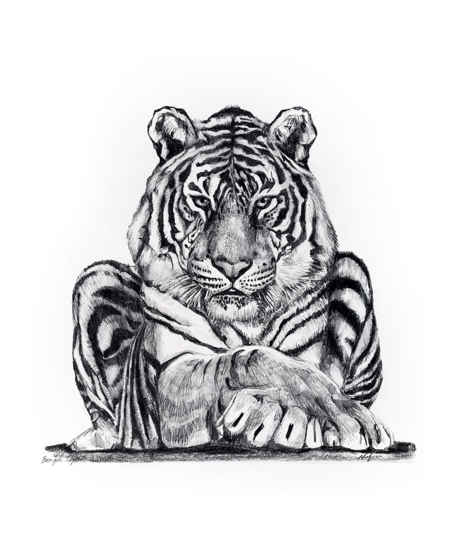 Tiger Print 6
