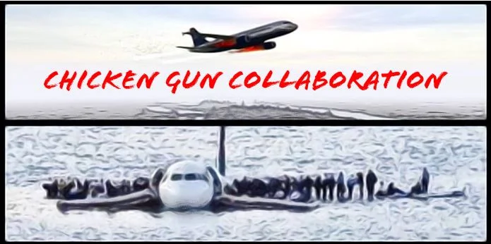 Chicken Gun Collaboration