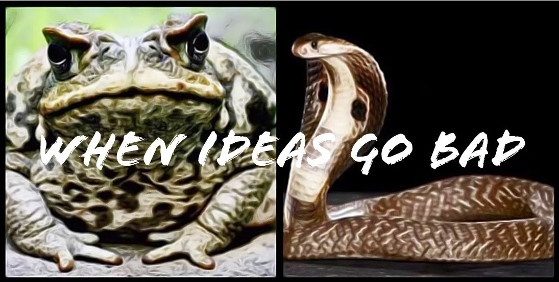 When Ideas Go Bad