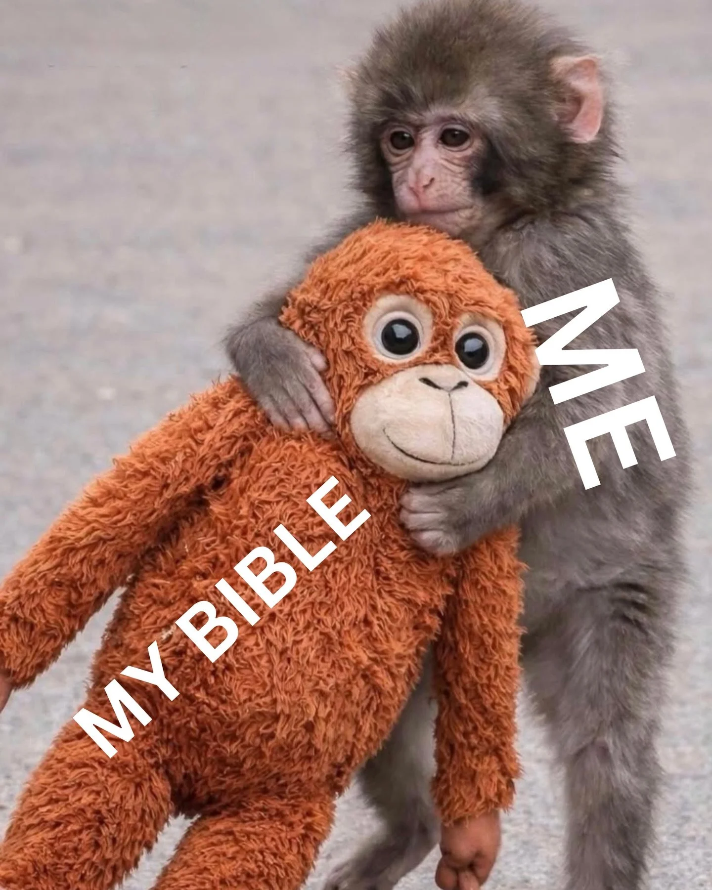 Which is the most accurate for you?