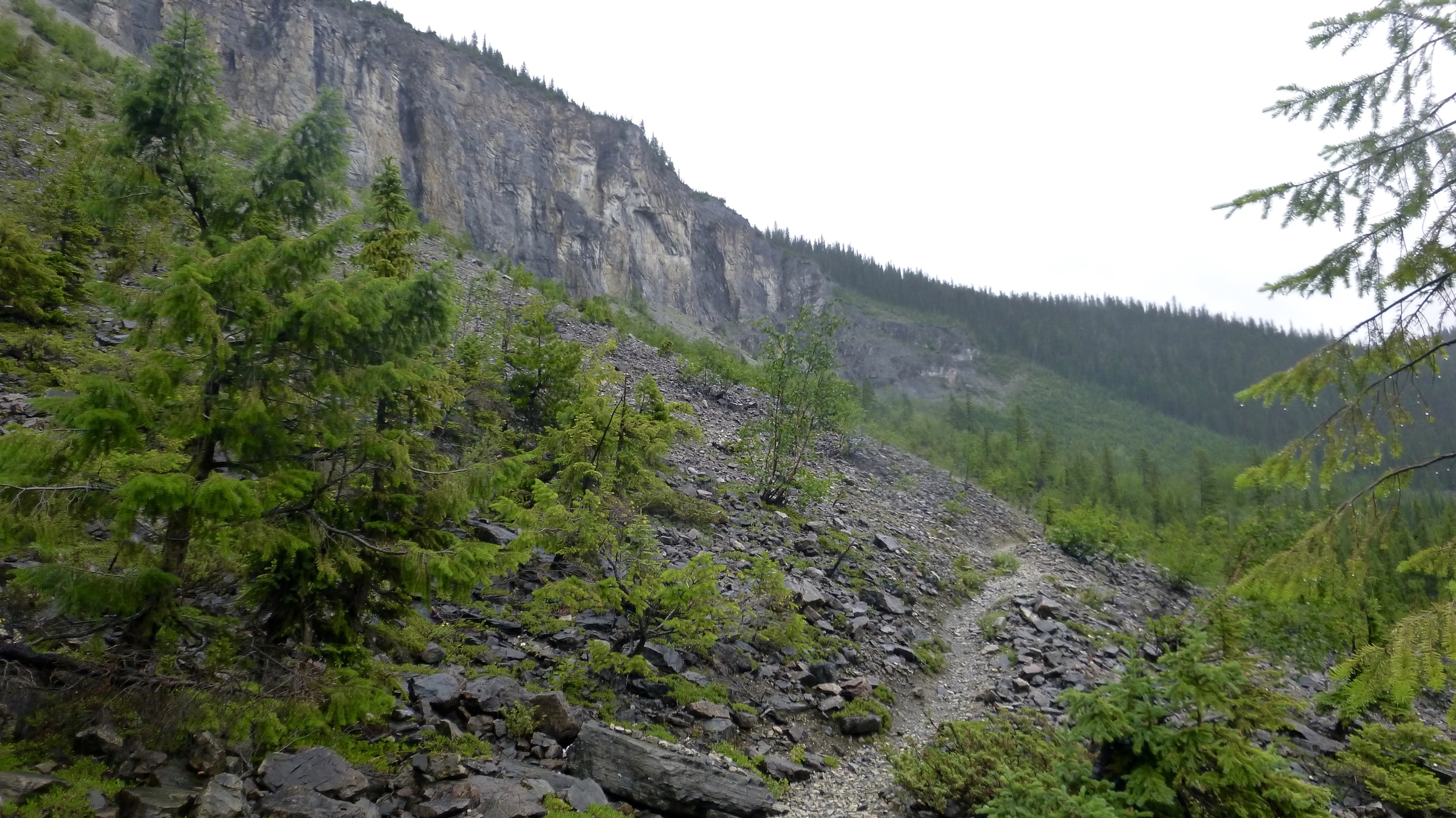 Instead of going straight and through the trees, we went to the edge of the cliff and to the left around it and over the top.